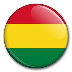Státní vlajka - Bolívie