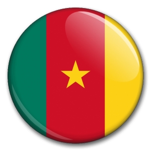Státní vlajka - Kamerun